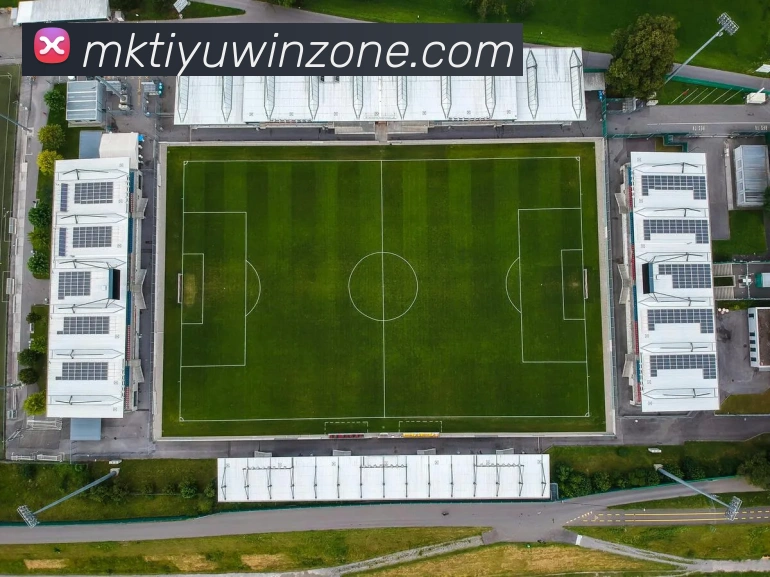 MK体育APP 封面图